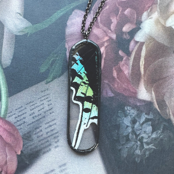 Peruvian Sunset Moth Oval Portal Pendant