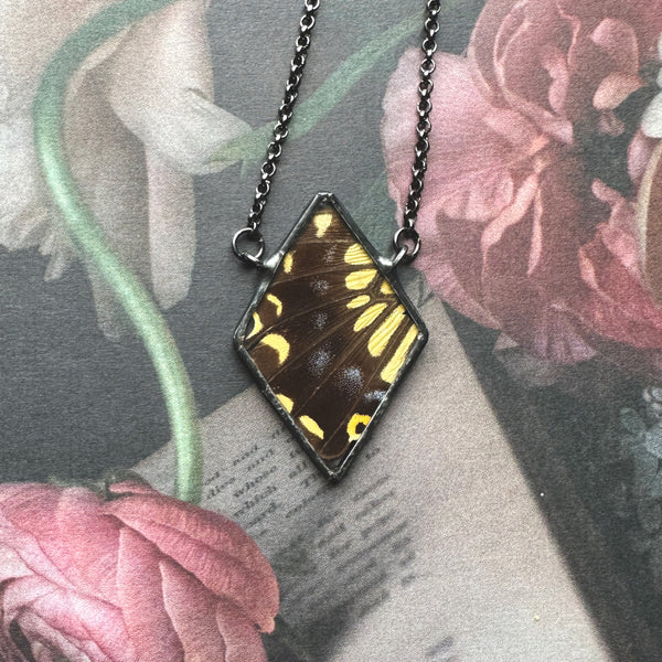 Yellow and Black Swallowtail Diamond