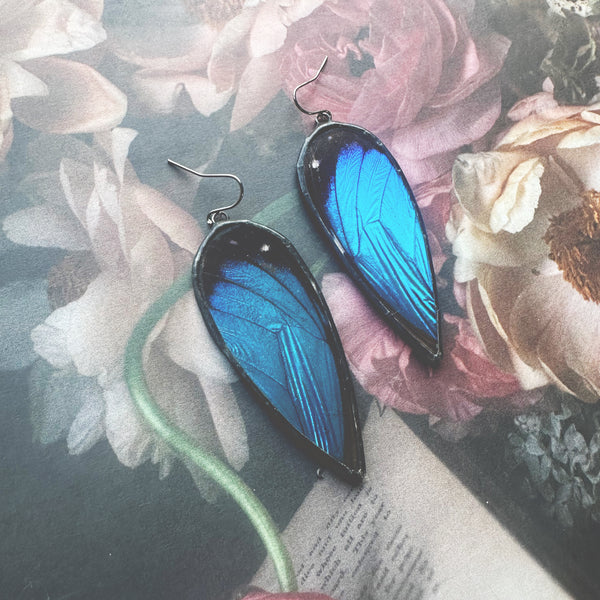 Large Teardrop Morpho Earrings