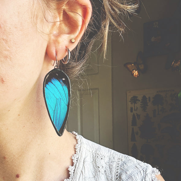 Large Teardrop Morpho Earrings