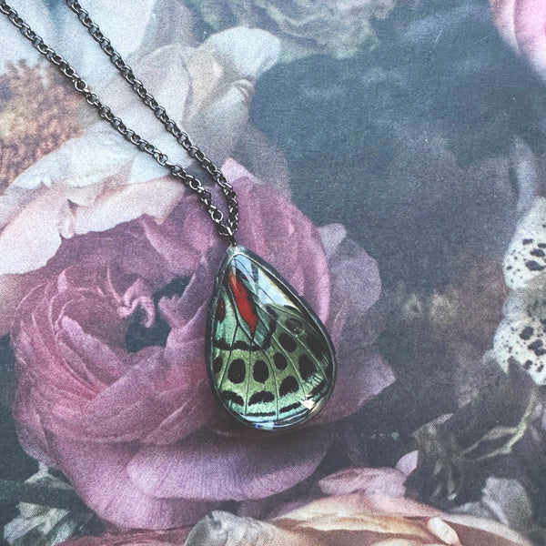 Asterope Optima Butterfly Bevel Teardrop